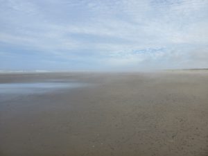 Isolated Long Beach washington