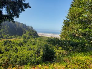 cape disappointment state park washington