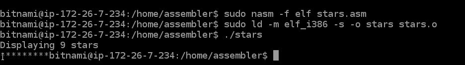 compile, link and execute assembler on linux