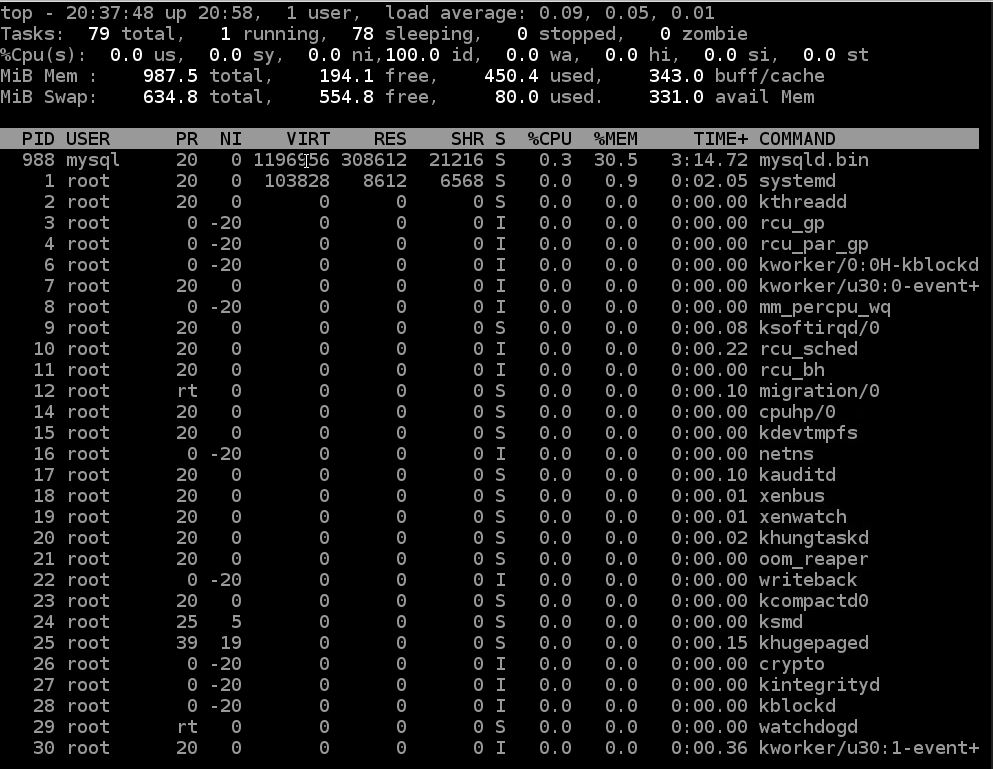 top linux process monitoring command