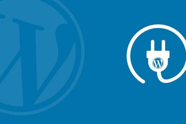 deveoping a wordpress plugin